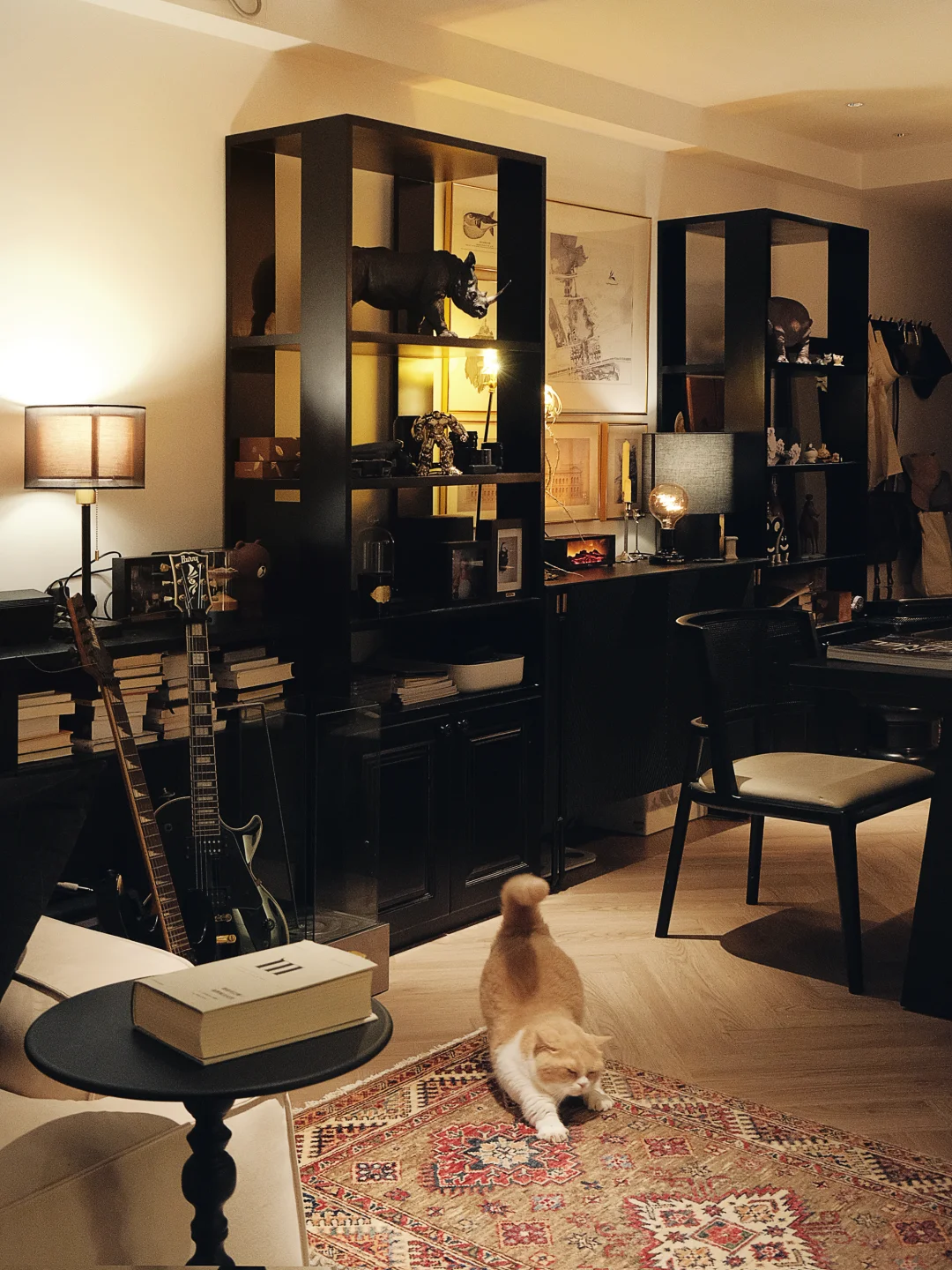 我家的软装全靠它撑着🖼️🐱