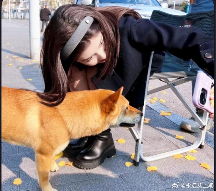 #艾米# 🐇#米有物料啦# 

米の产出

今日一期阳光少女 ​