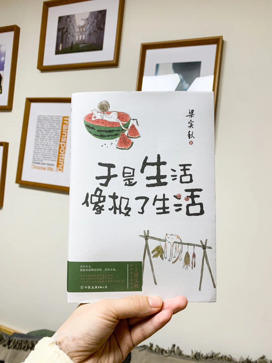 🌈他教会了我生活的艺术