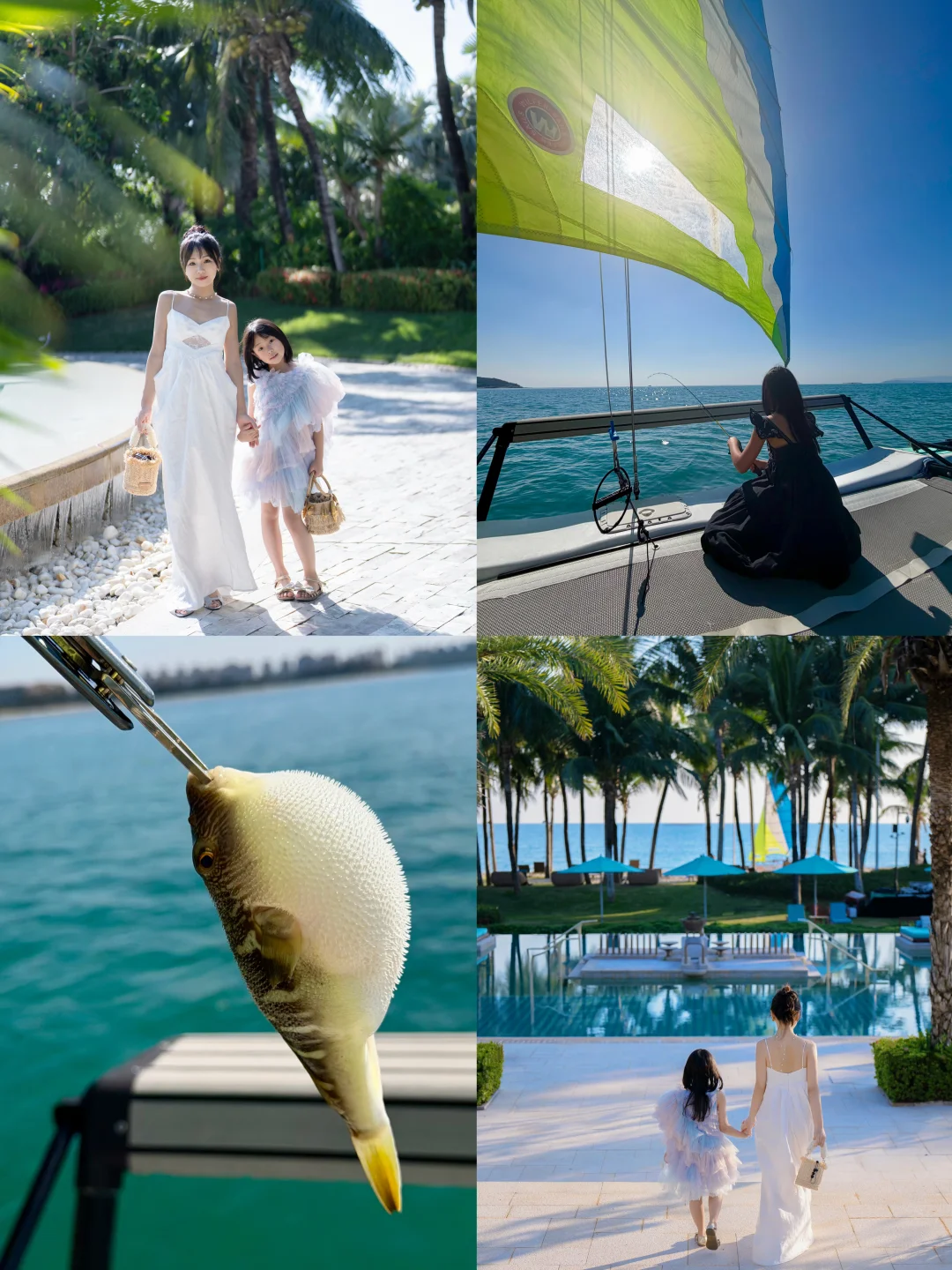 𝑰𝒔𝒍𝒂𝒏𝒅 𝑷𝒍𝒐𝒈🐚三亚亲子度假日记