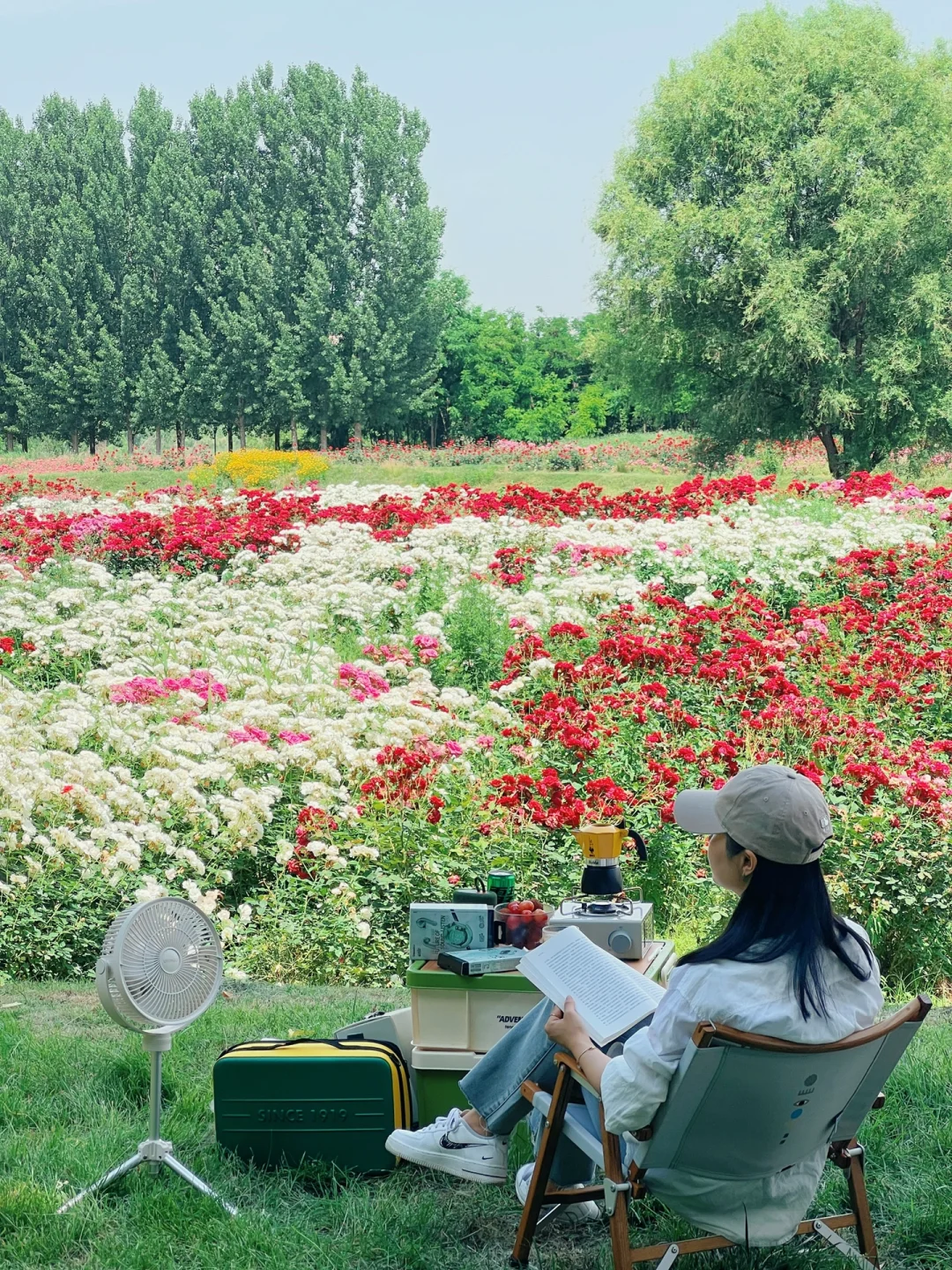 春天的最后一场露营|坐在大树荫下赏花海🌸