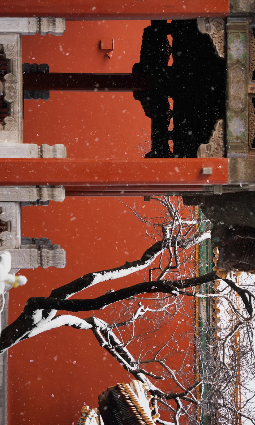 ❄️当我用全屏图沉浸式打开故宫初雪