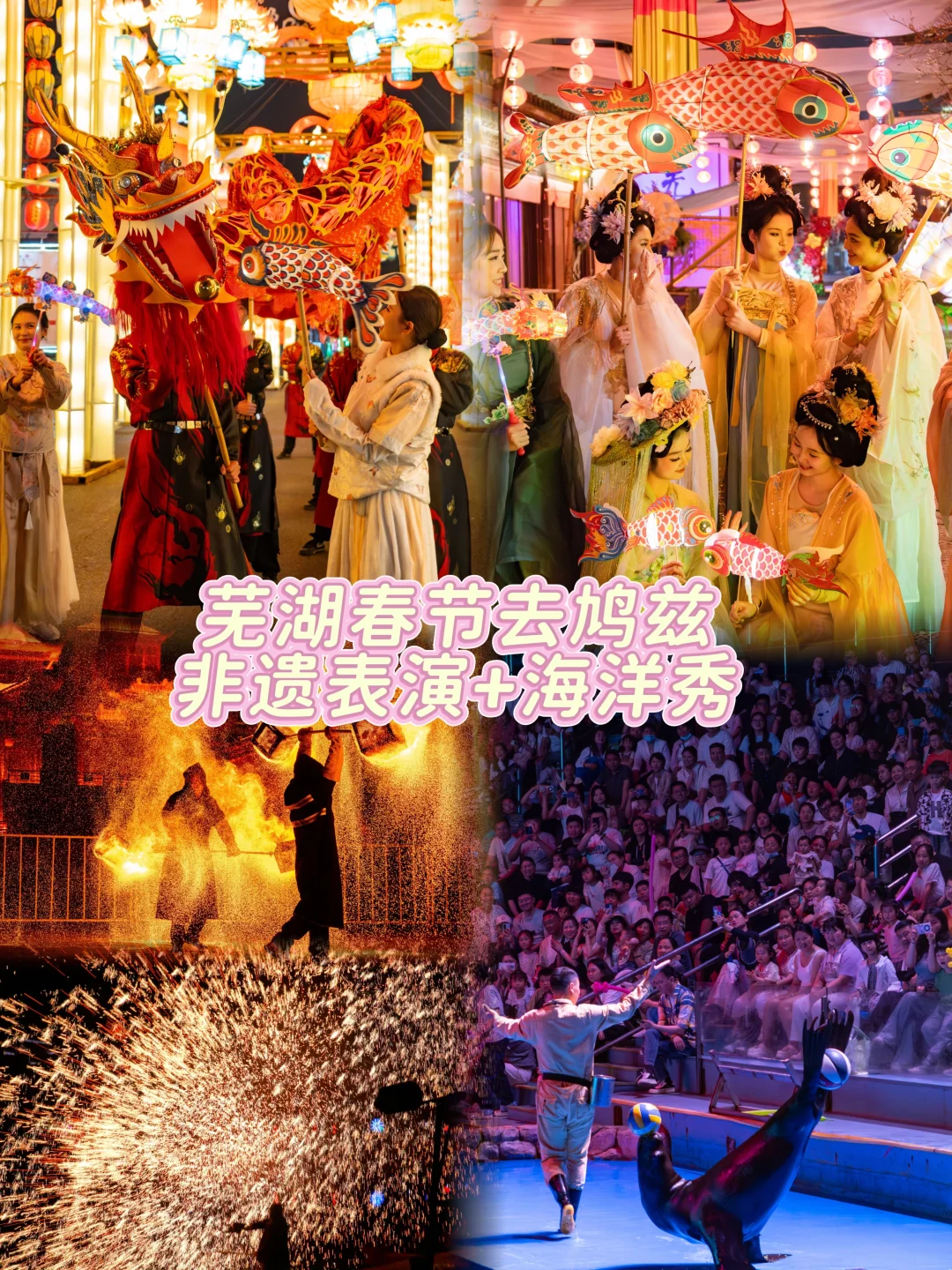 芜湖春节游，不可错过的非遗表演 + 海洋秀！