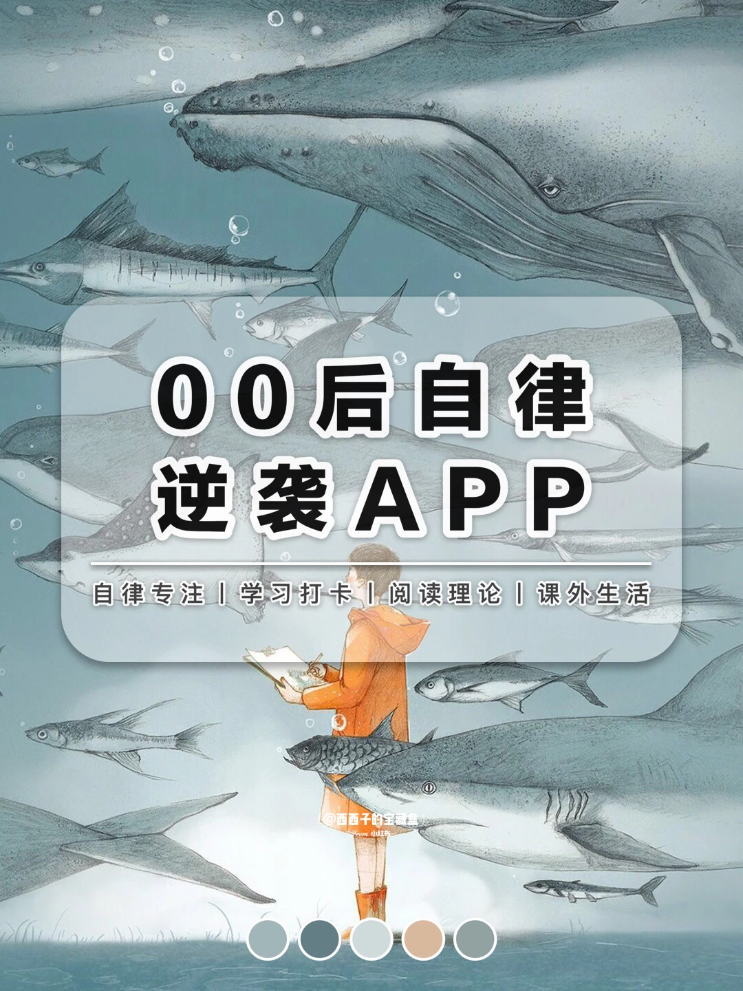 😄00后自律逆袭APP，用好了也能改变自己‼️