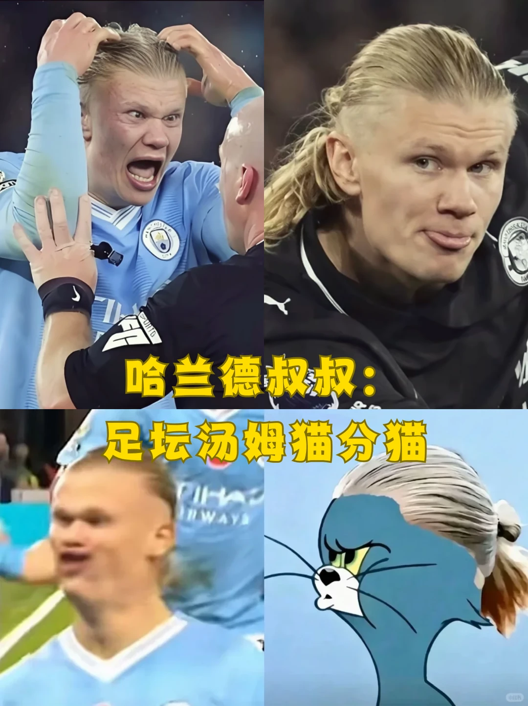 今年世界杯全是活宝，笑到我直拍大腿🤣