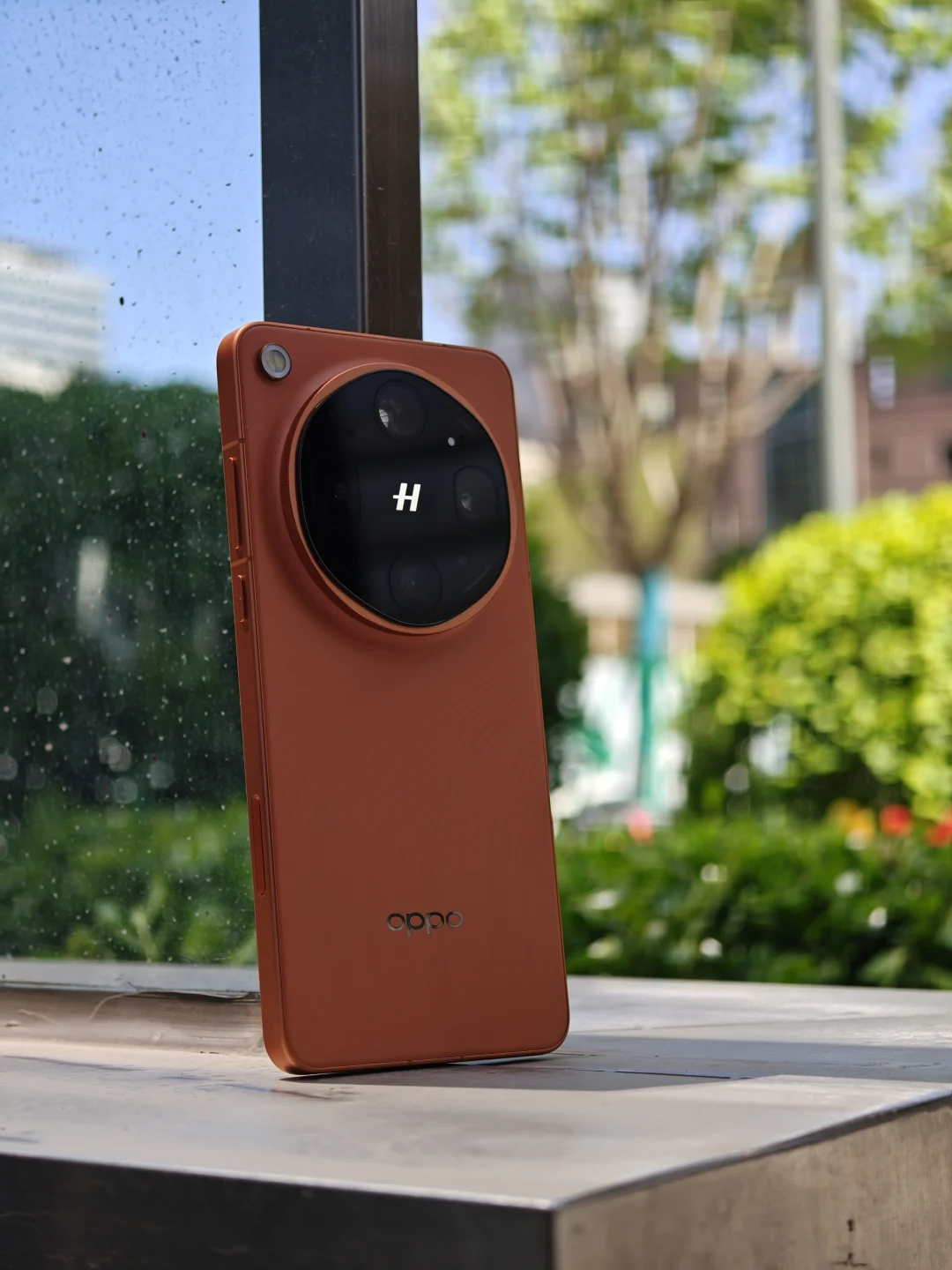 ColorWalk最权威的拍照搭子被我挖到了📸