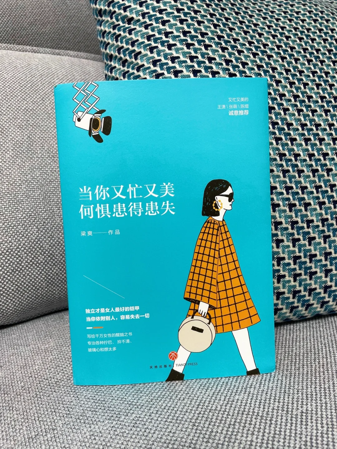 成长醒脑之书｜专治各种拧巴、不自律、想太多