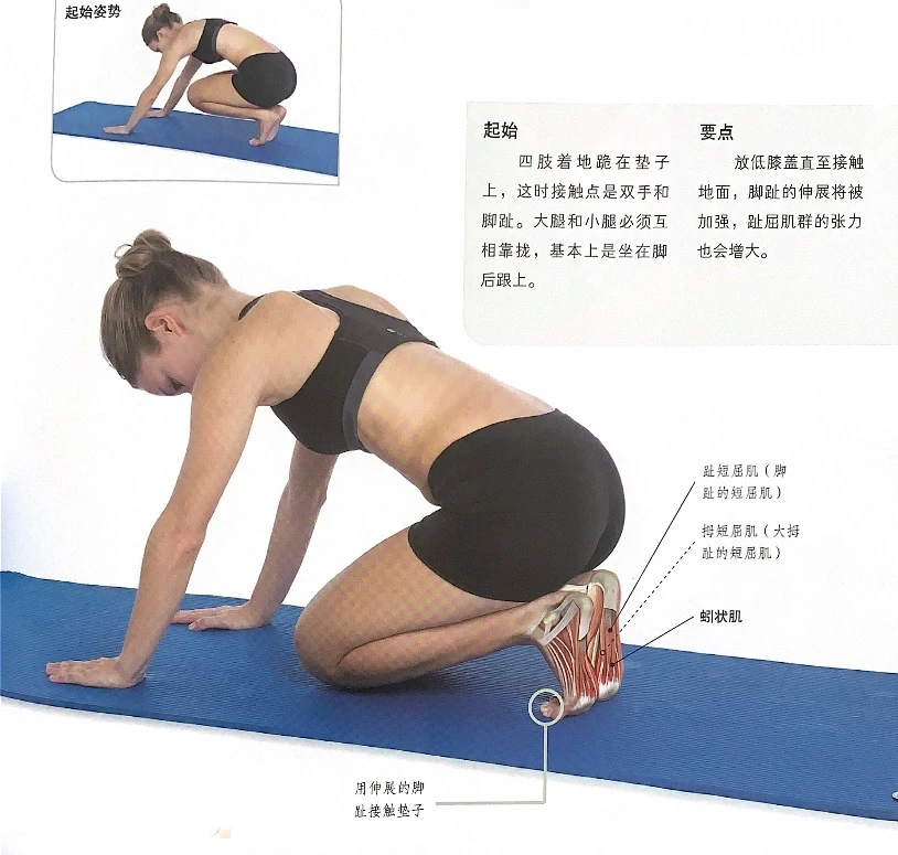 脚底肌肉拉伸🦶趾屈肌