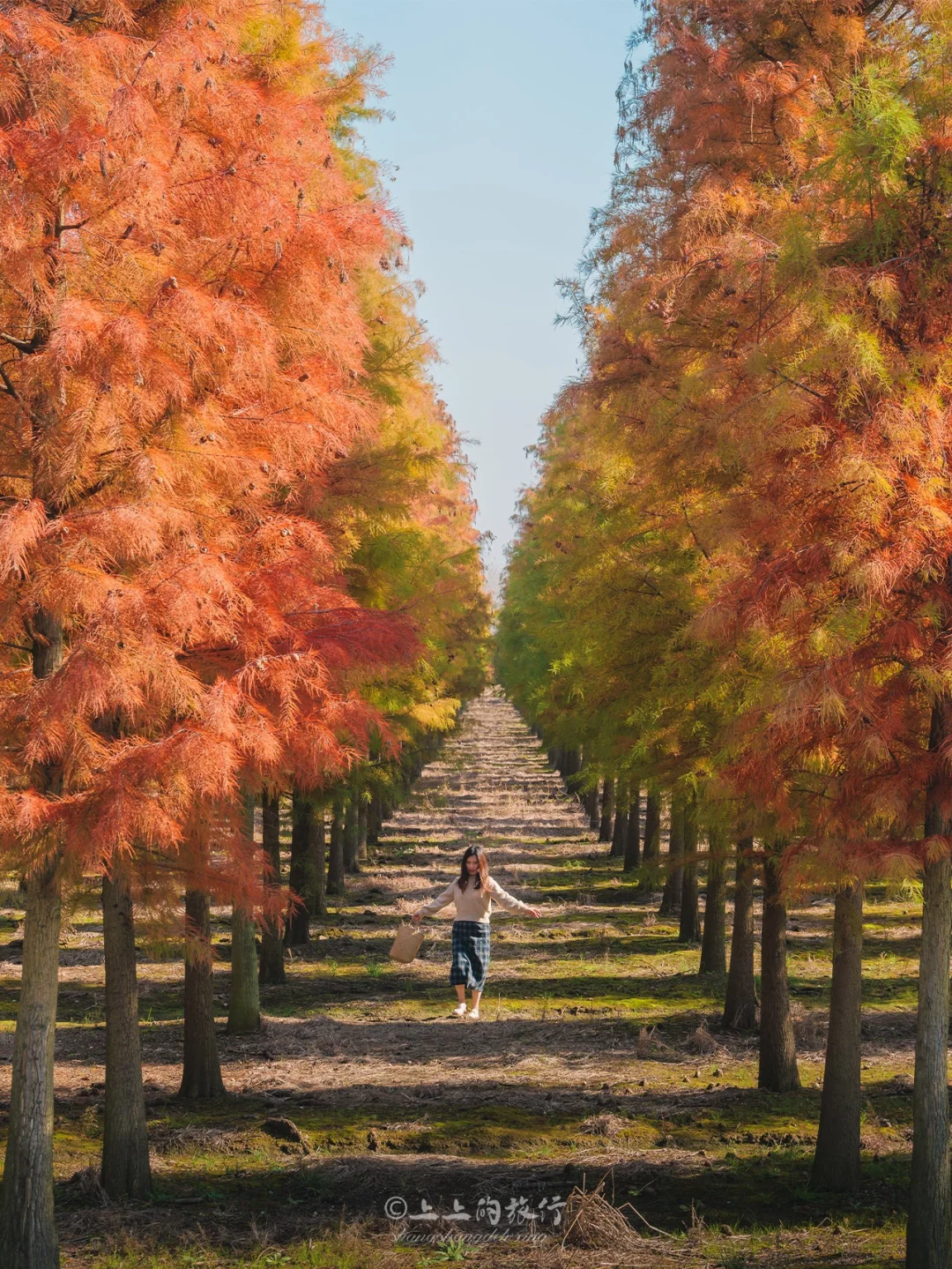 起猛了，以为到了新疆‼️其实还是武汉💯