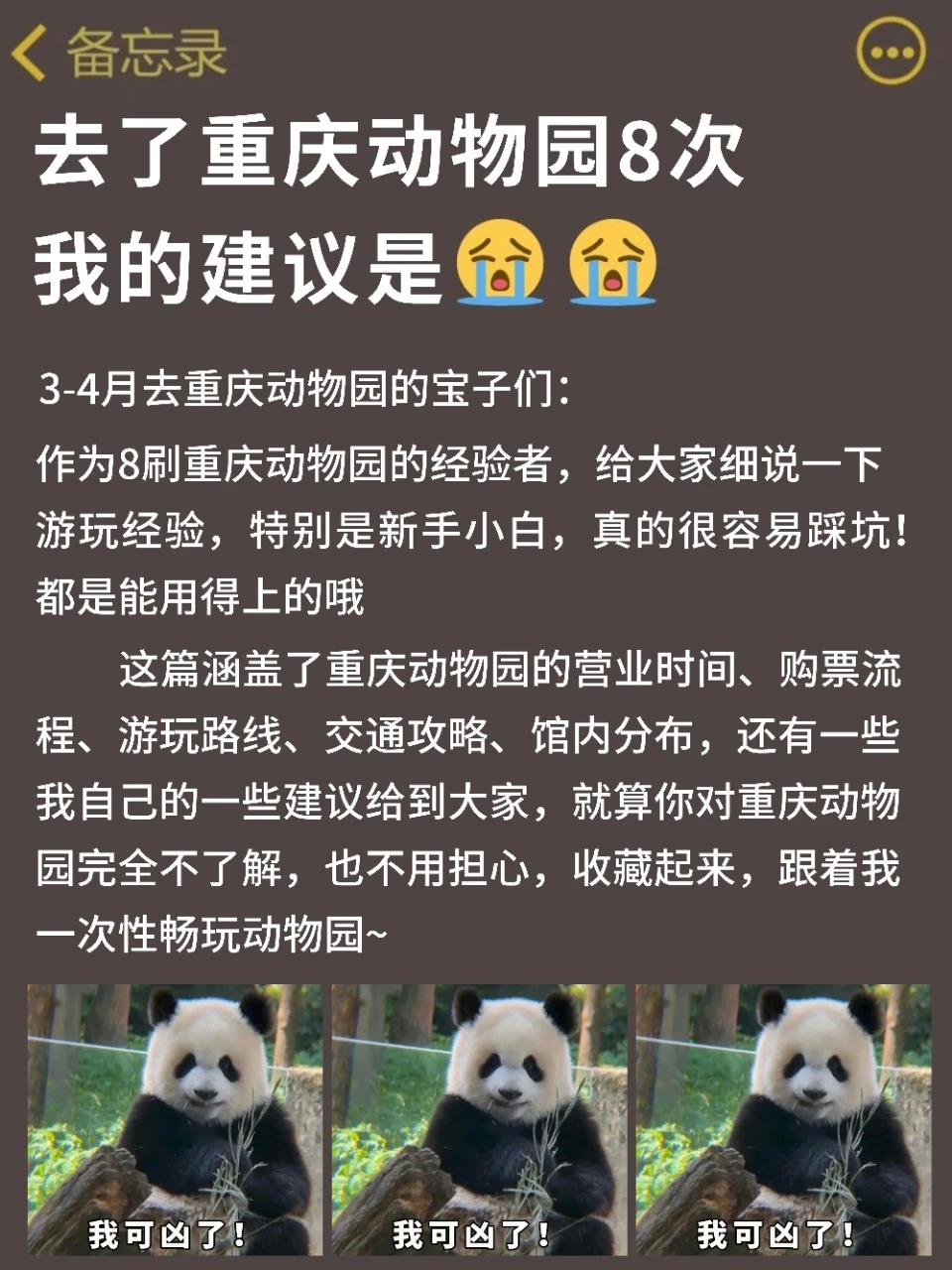 🐼春日限定🌸3-4月重庆动物园春游攻略