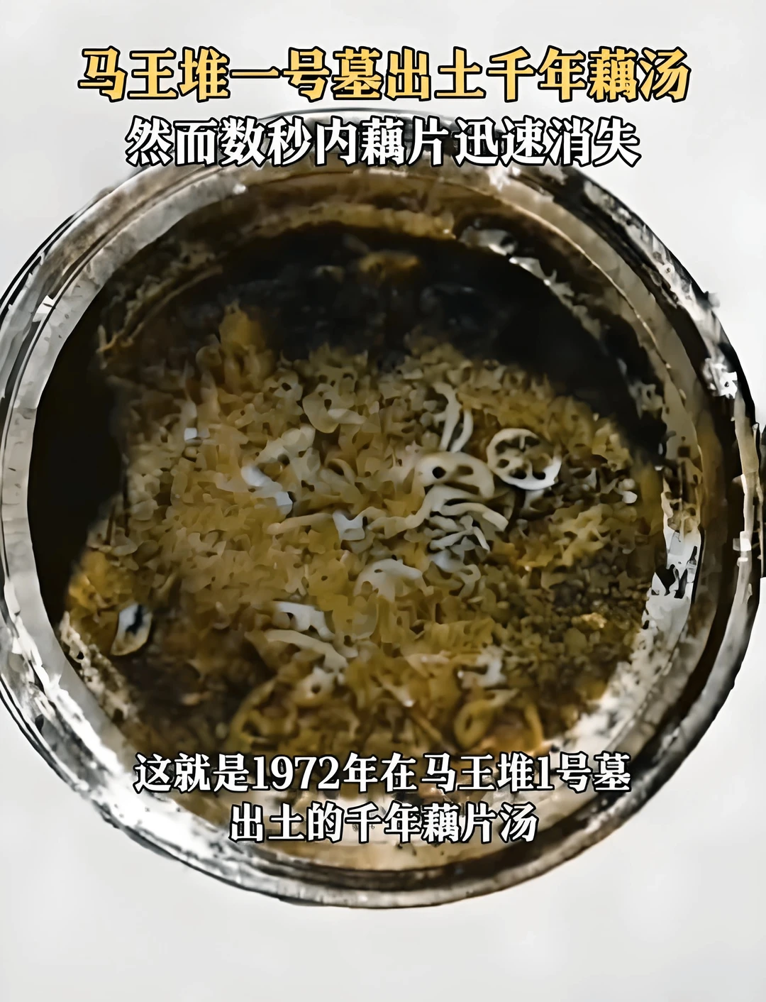 两千多年的藕片！竟然如此惟妙惟肖！