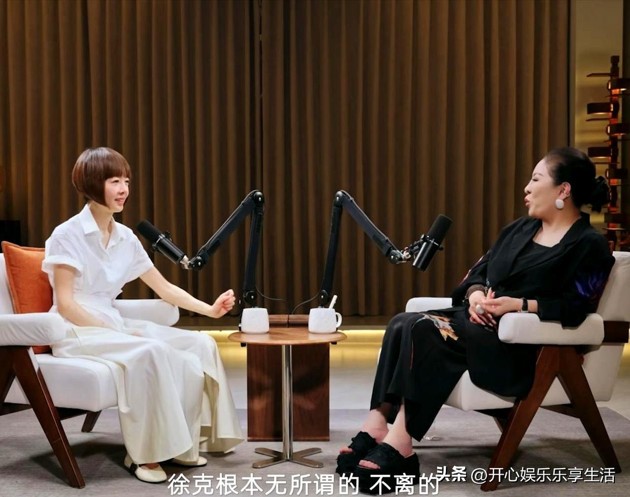 向太在访谈里提起了徐克，话里话外都在帮他说话，这让一向沉稳的鲁豫罕见地发火了，甚至直言：“别再说了，我真有点生气。”
当时向太主动聊起徐克，说徐克夸她善良，还提到徐克一直坚持丁克，乐乐只是助理，甚至抱怨施南生为什么不出来帮徐克澄清。
没等向太把话说完，鲁豫就忍不住插话了：“这事儿根 ​