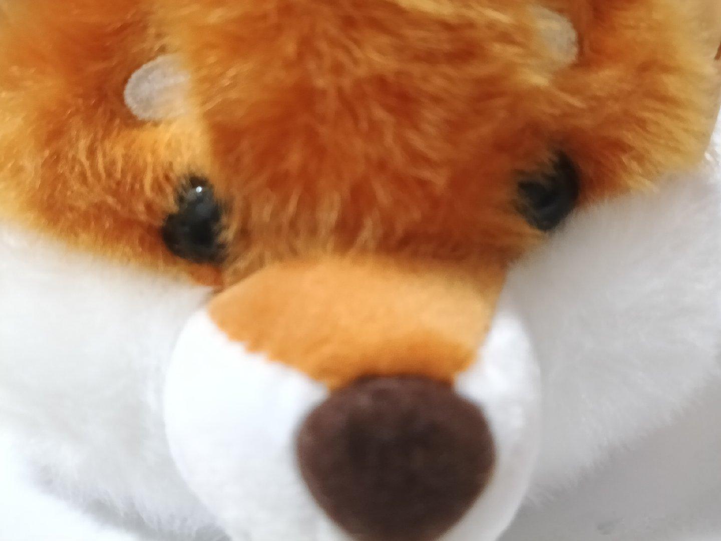 #胡先煦[超话]#🦊 #胡先煦现在就出发# 好幸运看到有小狐狸，想到了先煦，本来抓了很多次后没抓到，打算放弃了，结果最后一抓抓到了！10.04 
​