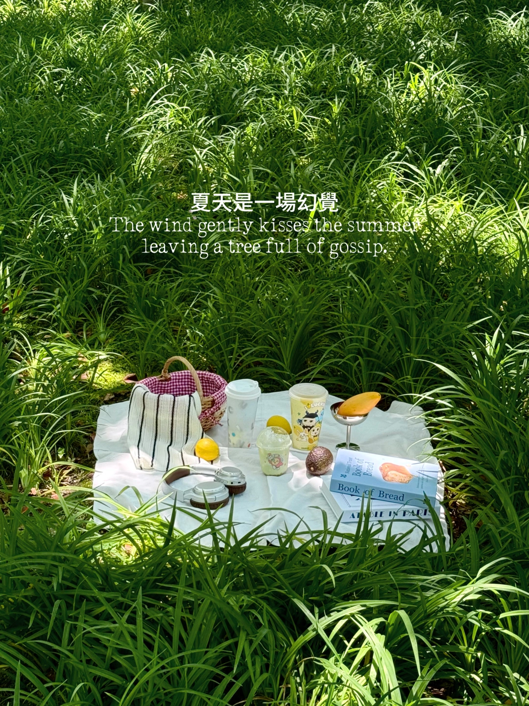 𝚂𝚞𝚖𝚖𝚎𝚛｜果味的初夏尝一口清爽🍃🍋🫧