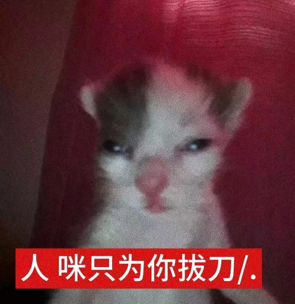 糊糊小猫表情包金秋壁纸大放送