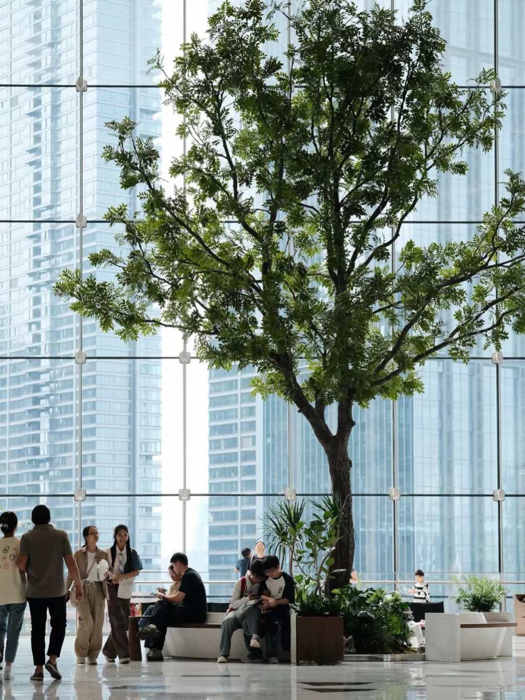我们制作的商场里的大树在网上流传起来了