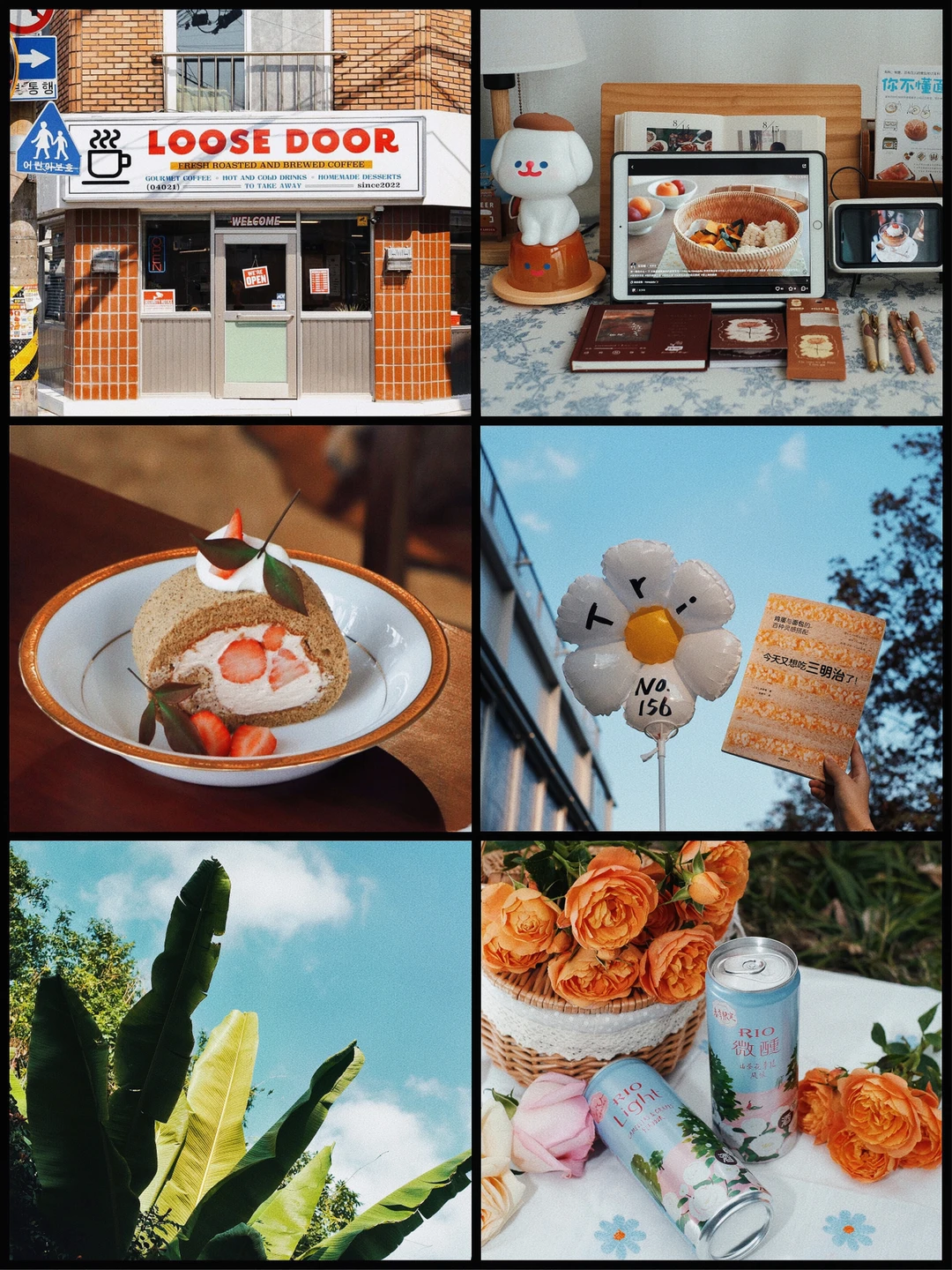 春日记录🌸日系胶片电影感滤镜太有质感了