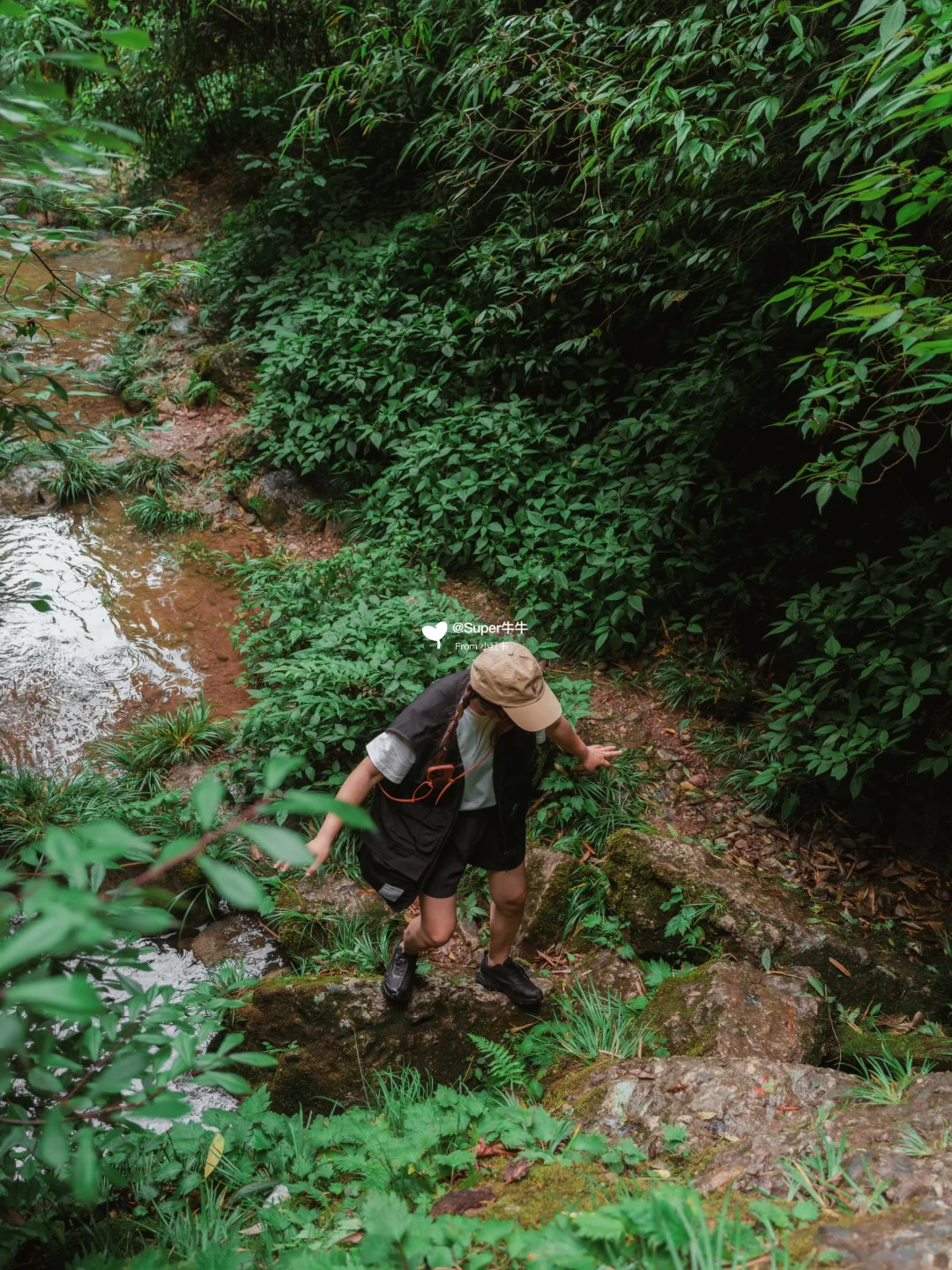 成都小众徒步| 快来20℃的🌳溯溪玩水💦秘境！