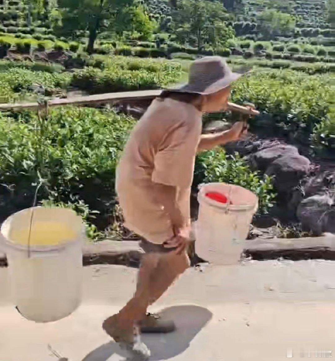 求教一下：
网络上流传的，河南省信阳市商城县苏仙石乡邓楼村，那位70多岁的熊姓孤寡老人，在大热天里，还得步履蹒跚，颤颤巍巍地去干各种繁重的农活，请问这是真人真事么？ ​