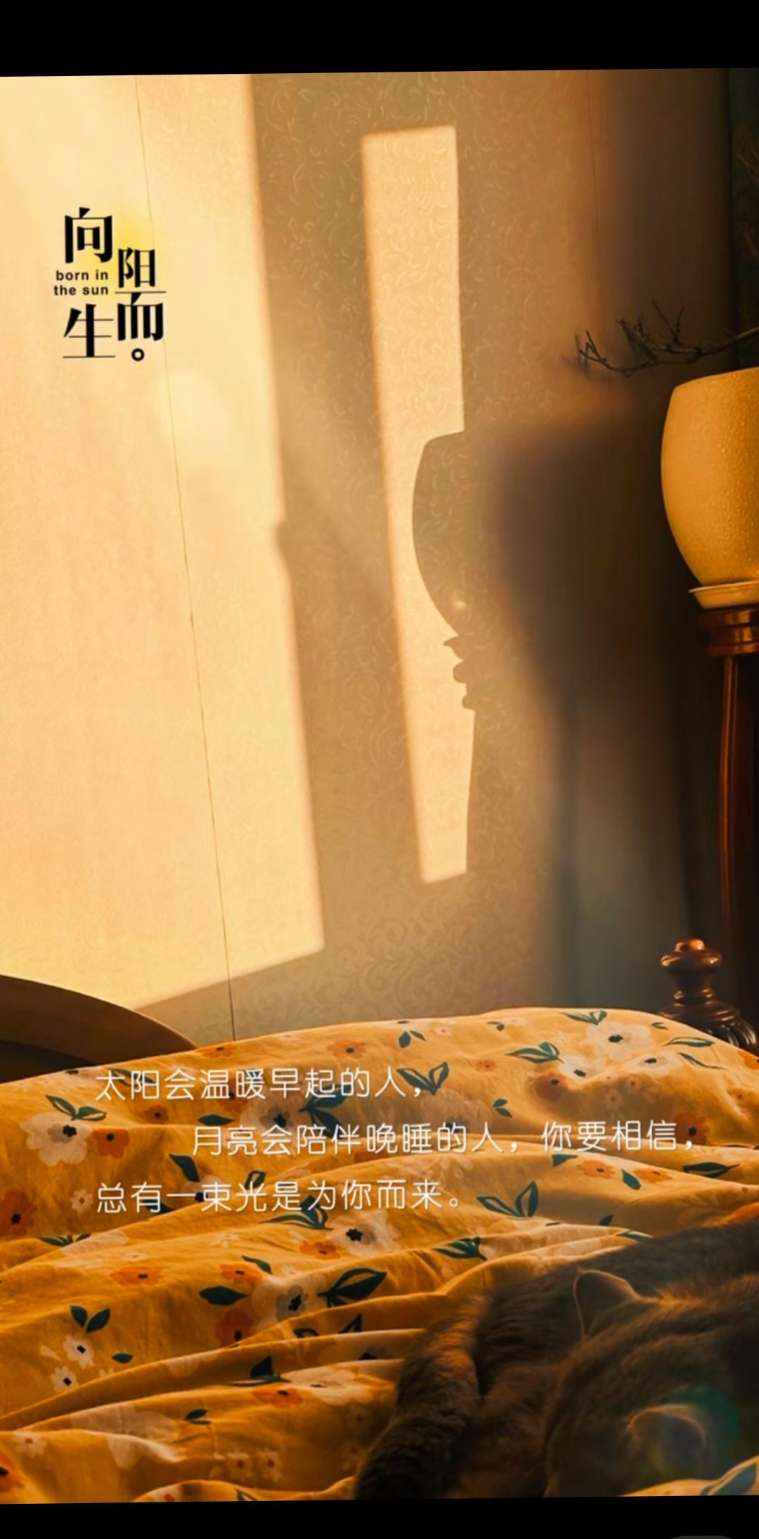 <p>情感共鸣 <!--{img:0}--></p><img src=...