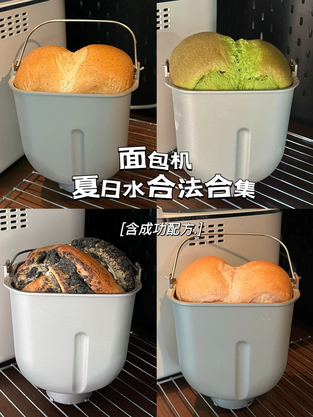 面包机在夏天也没空休息❗️❗️水合法合集
