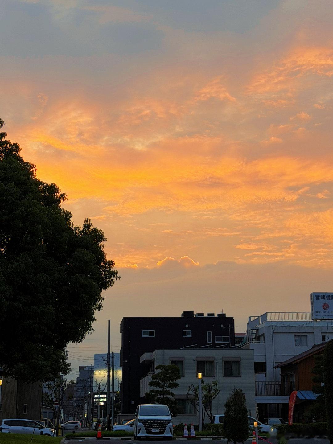 到丰田第一天看到了跟亚运发布仪式一样的夕阳
金光闪闪，亚运会会顺利的  ​
