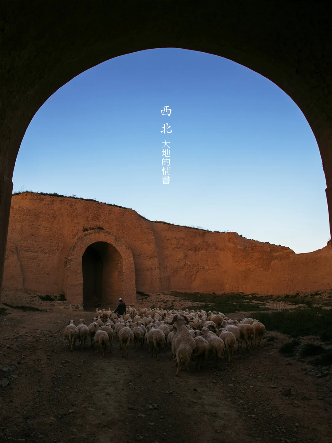 这才是梦中西北！我用镜头写封色彩的情书。
