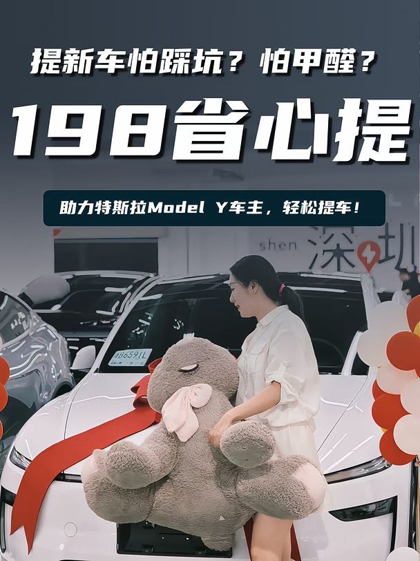 深圳特斯拉提车|专业验车 + 除甲醛 198 起