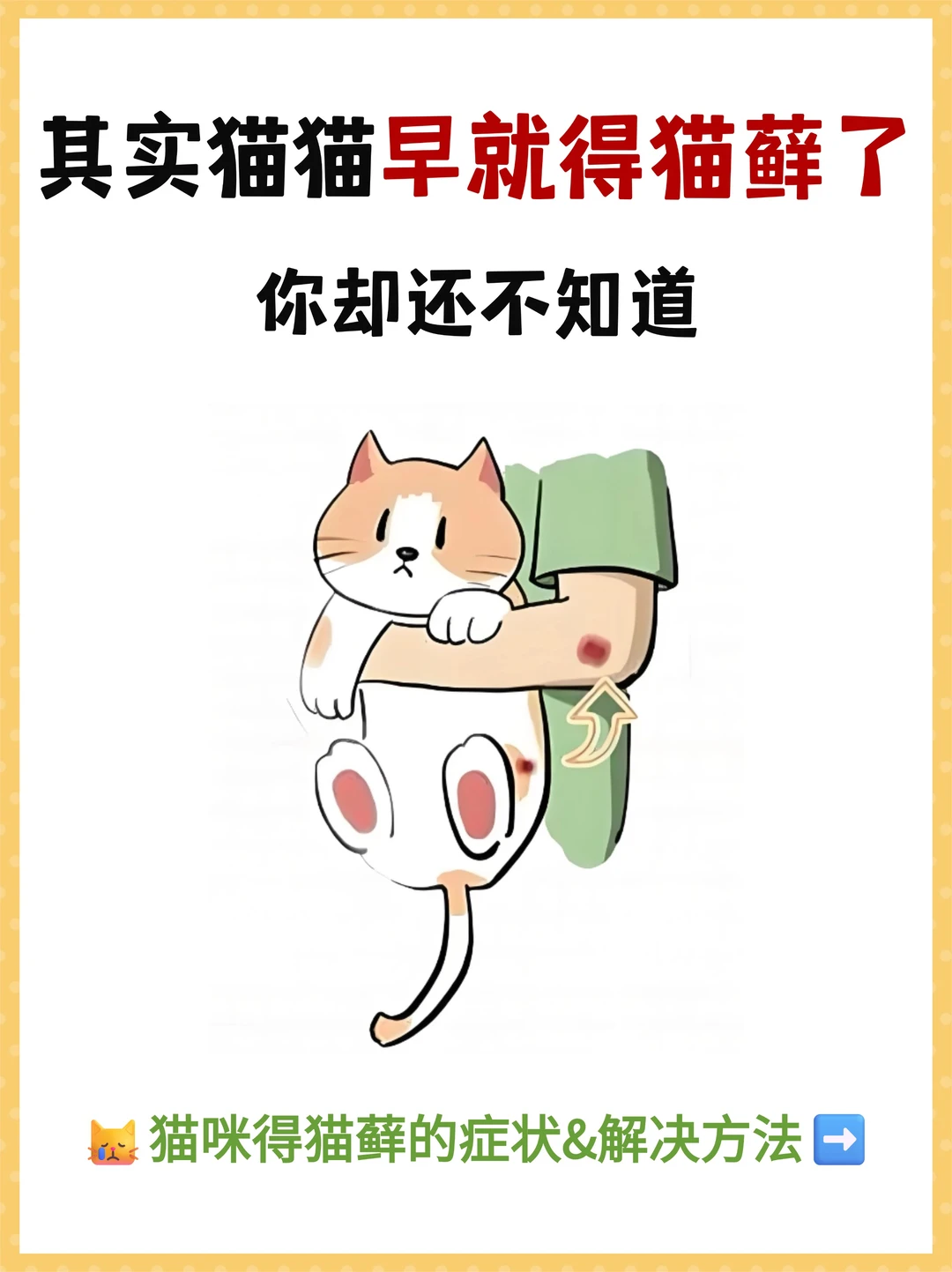 猫咪早就得猫藓了‼️你却不知道