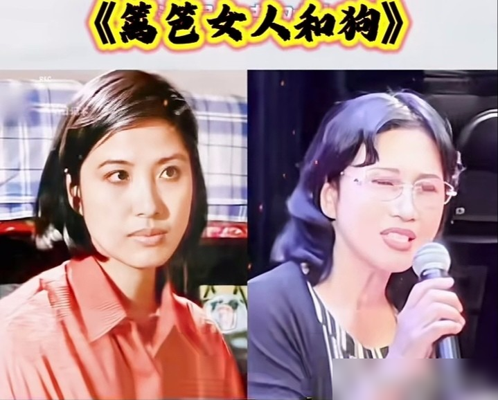 34年前的国产剧，现在刷到依然起鸡皮疙瘩！
1989年首播的《篱笆、女人和狗》，只有12集，拿过飞天奖、金鹰奖两项大奖，主题曲《篱笆墙的影子》至今传唱。
那时候的老剧，和现在动辄五六十集的注水剧对比太明显：剧情紧凑不拖沓，敢把农村女性挣脱枷锁的挣扎拍得入木三分。不止这部，90年代前后的《渴望》《