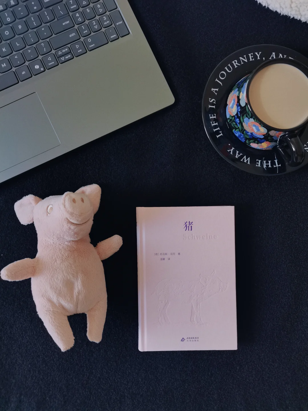 猪的百万年逆袭史，藏着你不知道的冷知识！