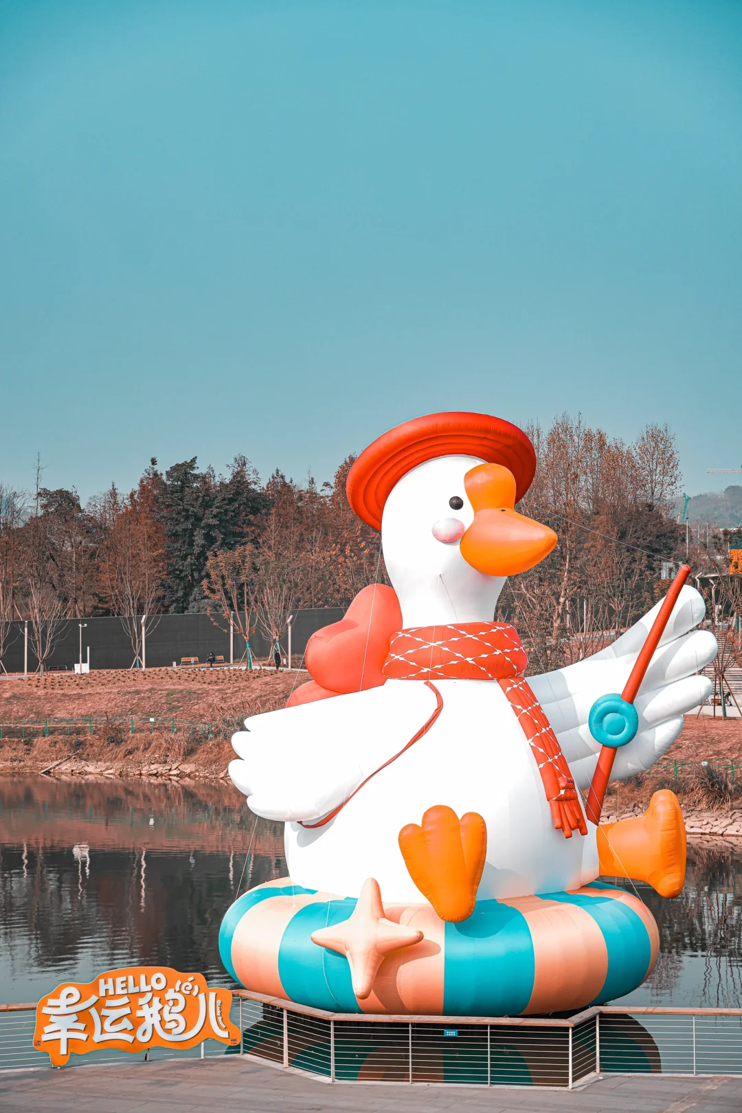 超大幸运鹅🪿让你的好运一飞冲天🌈❤️