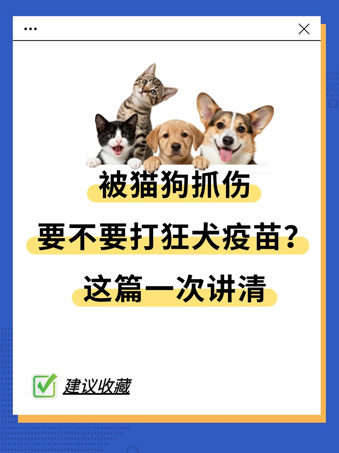 一篇说清，被猫狗抓伤要不要打狂犬疫苗？