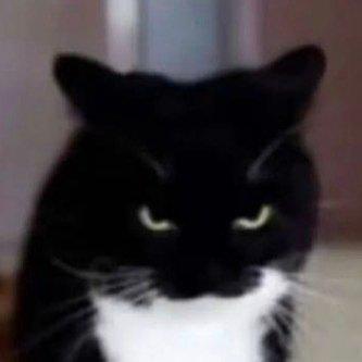 #古天乐[超话]# 
邪恶猫猫头出动！ ​