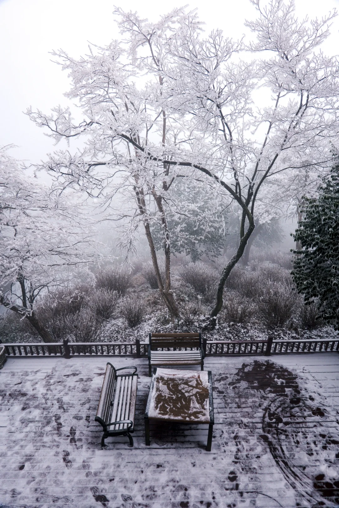 ❄️成都1.5h直达！雾中山野雪徒步太快乐了