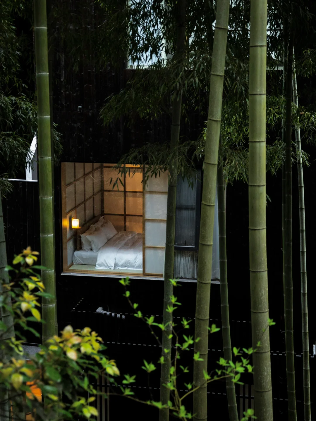 任何人来莫干山不住这家民宿我都会伤心的！