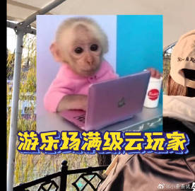 吗喽姐的表情包真的莫名戳我笑点....<span class="url...