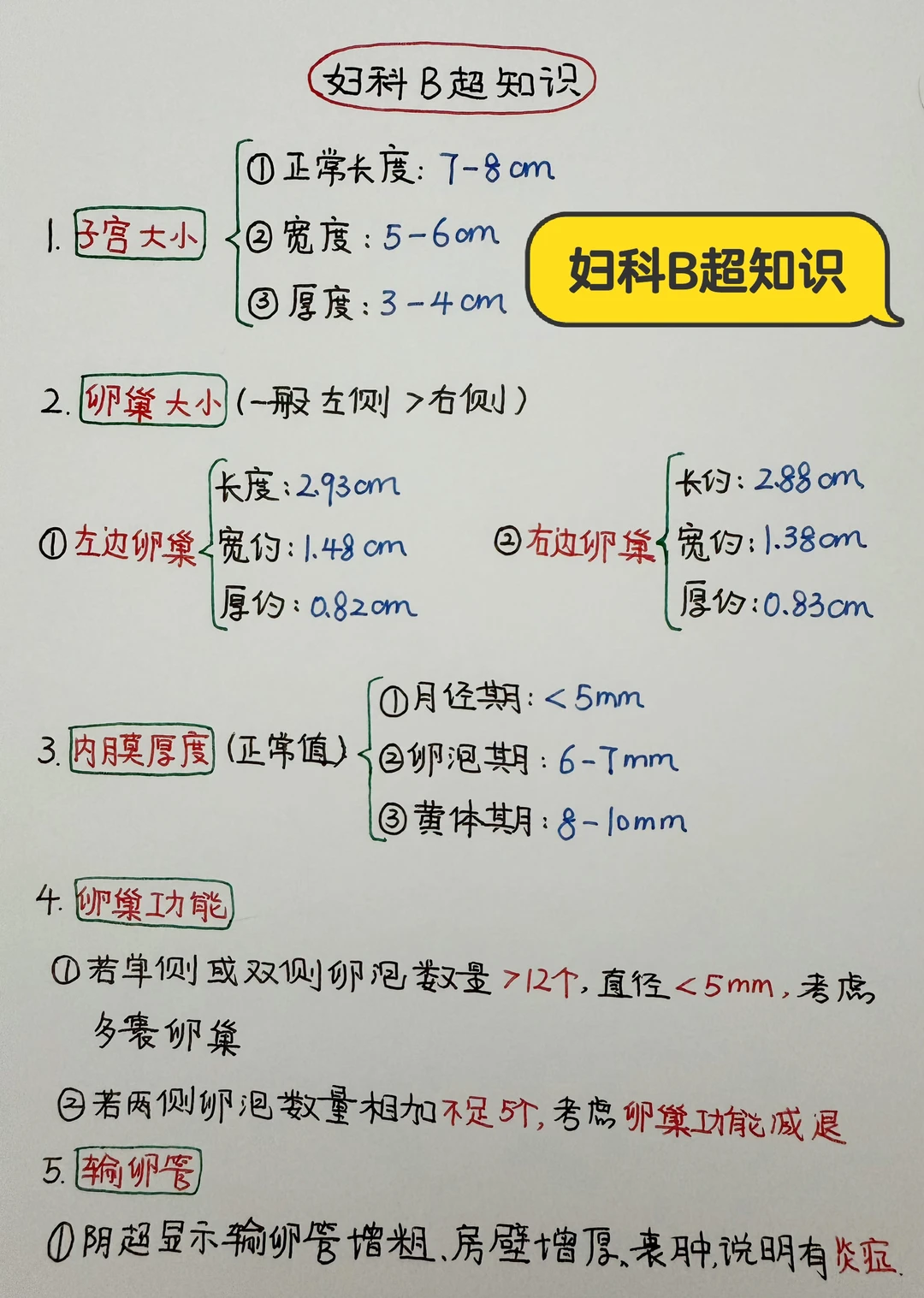 今日学习打卡——妇科B超知识