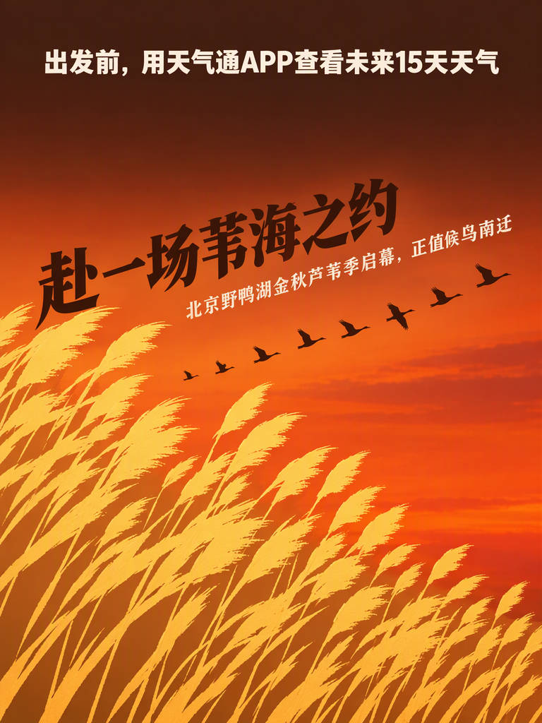 【野鸭湖芦苇季启幕，赴约前先看天气】
9月25日，北京野鸭湖金秋芦苇季启幕，苇海观景、芦苇手作、落日音乐会都排上了，此时节正值候鸟南迁。想赴约的话，先挑个晴暖少风的日子，未来几天天气怎么变，查了再定行程。#假期每一程都有天气通# #今年中秋哪里最适合赏月# #假期天气变化比计划更快#