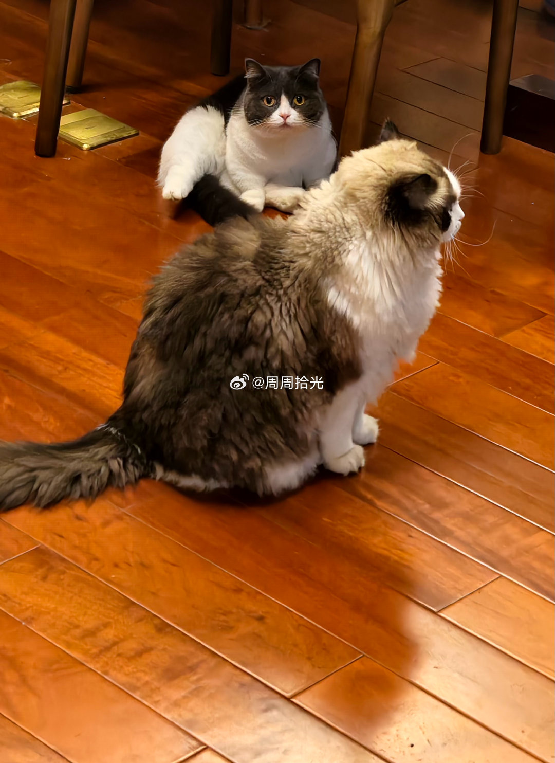 昆明地震了，打开家里6.30的监控看了下，可能是一楼的缘故，什么都没晃。两只傻猫也不知道躲在哪里，没看到上串下跳。
前两年经历过，在上着班，突然感觉呕心头晕，我还以为自己低血糖了，隔壁同事跑出来说地震了，才看到办公室的吊灯晃得厉害。
看小区群里聊的火热，当地震来临时，大部分人那一刻是懵 ​