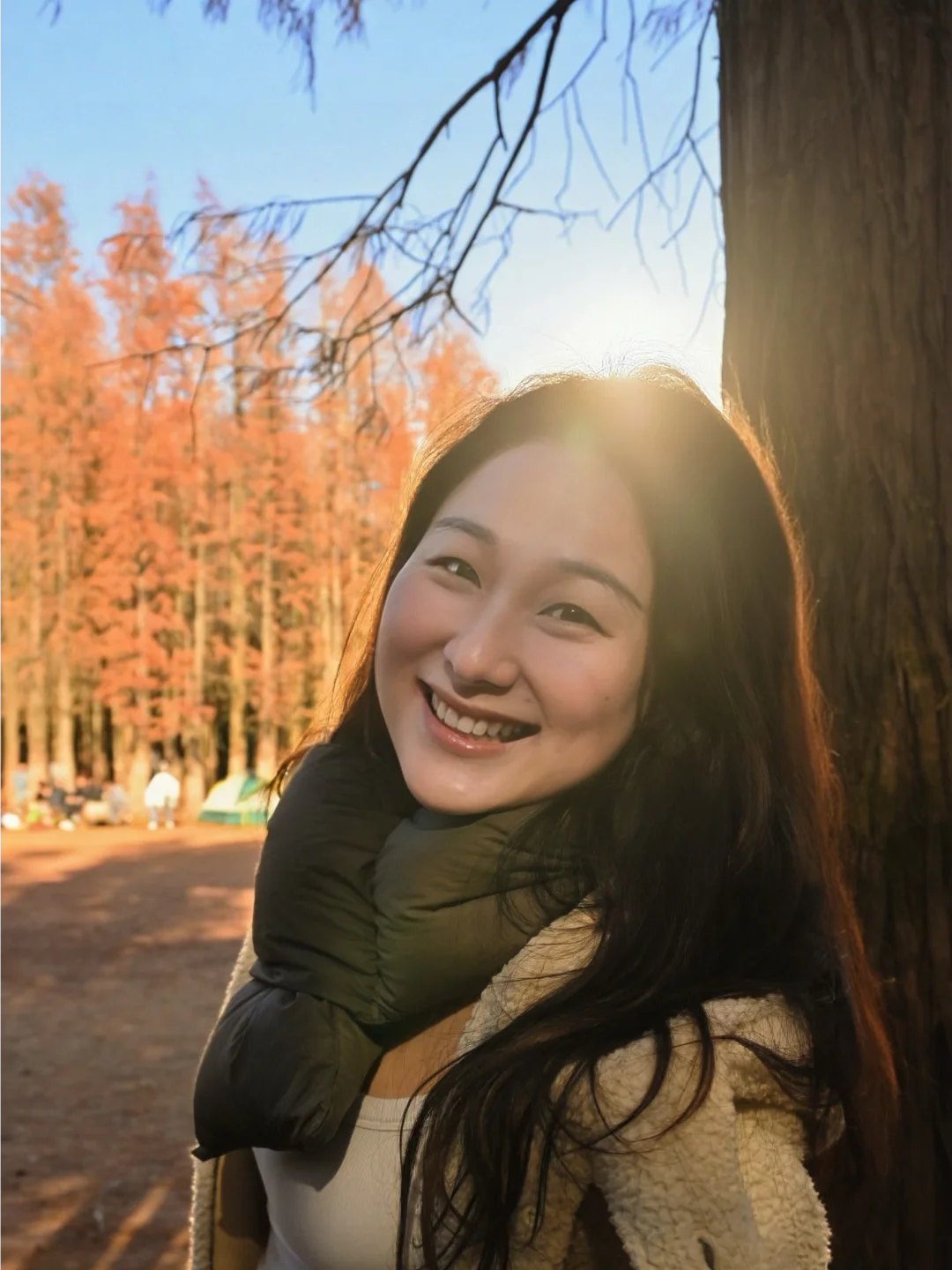 南昌白虎岭水杉没那么多啦 但阳光下挺好看