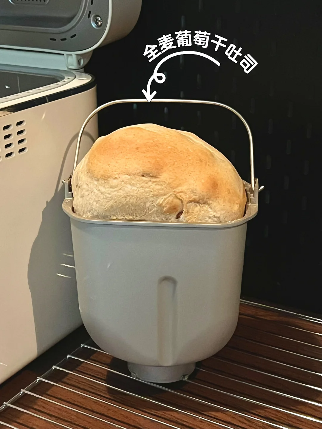 尝试烫种➕波兰种，全麦葡萄干吐司｜巨柔软