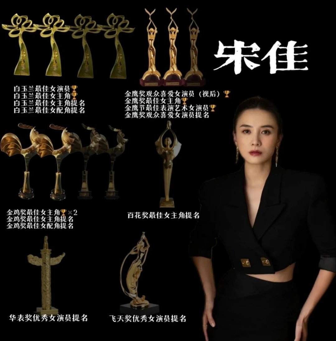 宋佳能不能取代孙俪的生态位？两人奖项履历对比，你更看好谁？ ​