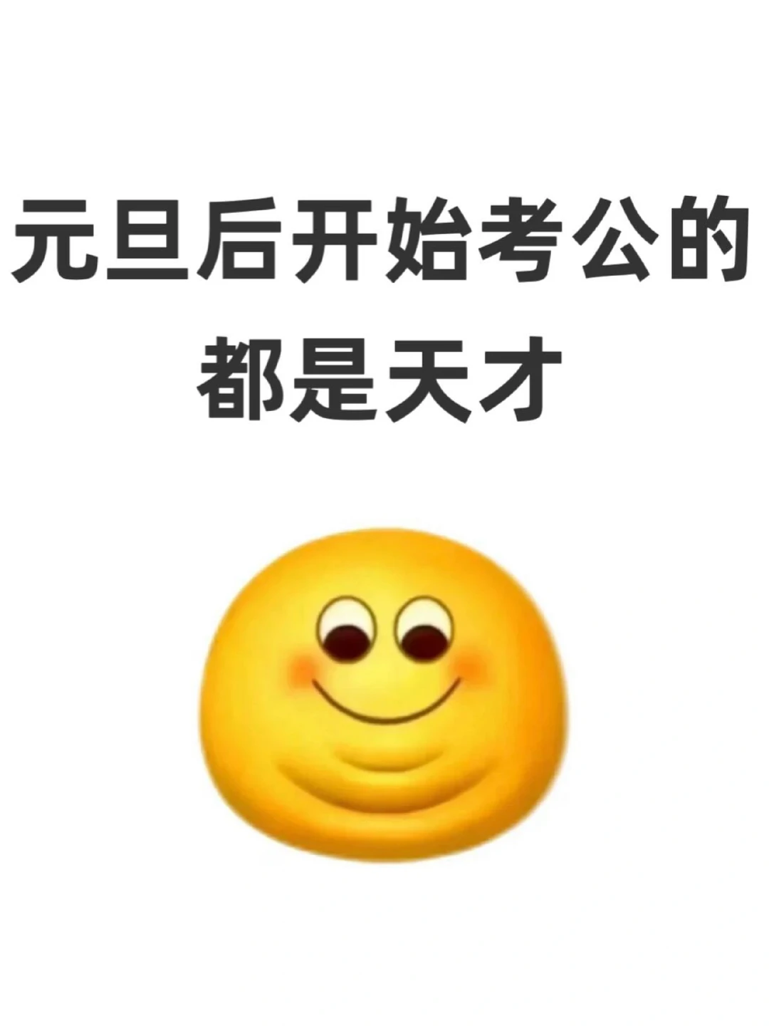 元旦后开始考公的都是天才啊啊啊！
