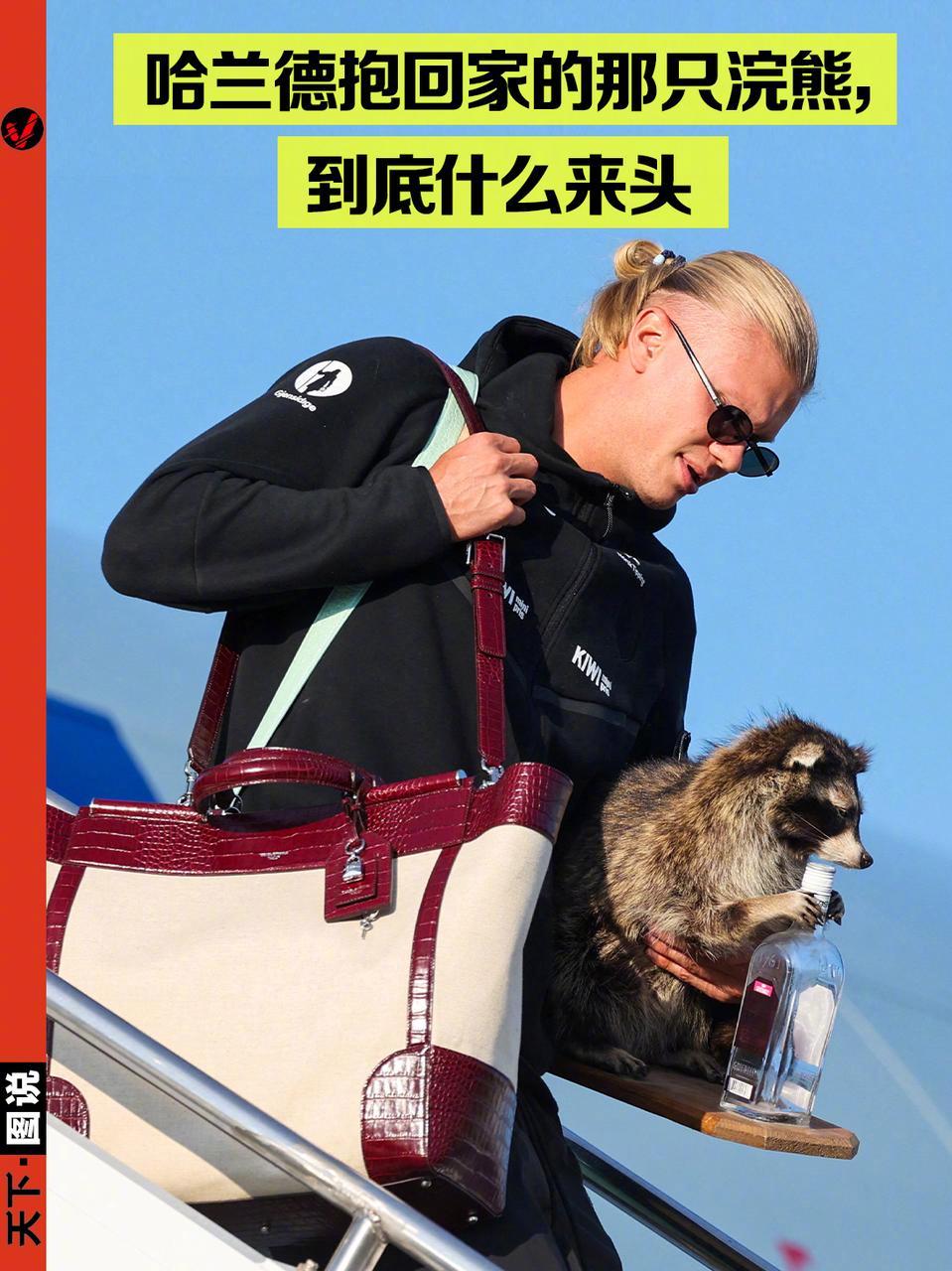 【Vista天下图说｜ 虽然挪威队在世界杯八强战1-2惜败英格兰，遗憾...