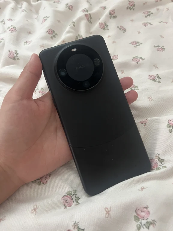 Mate60，215G。入职华为汽车上班，入职必须自备华为手机。7.9号入手的，8.31号离职。转转上买的，检测报告还在，我贴了张钢化膜，还买了手机壳，手机壳可以免费赠送。
没在鸿蒙干了，手机也用不上了
1700出
