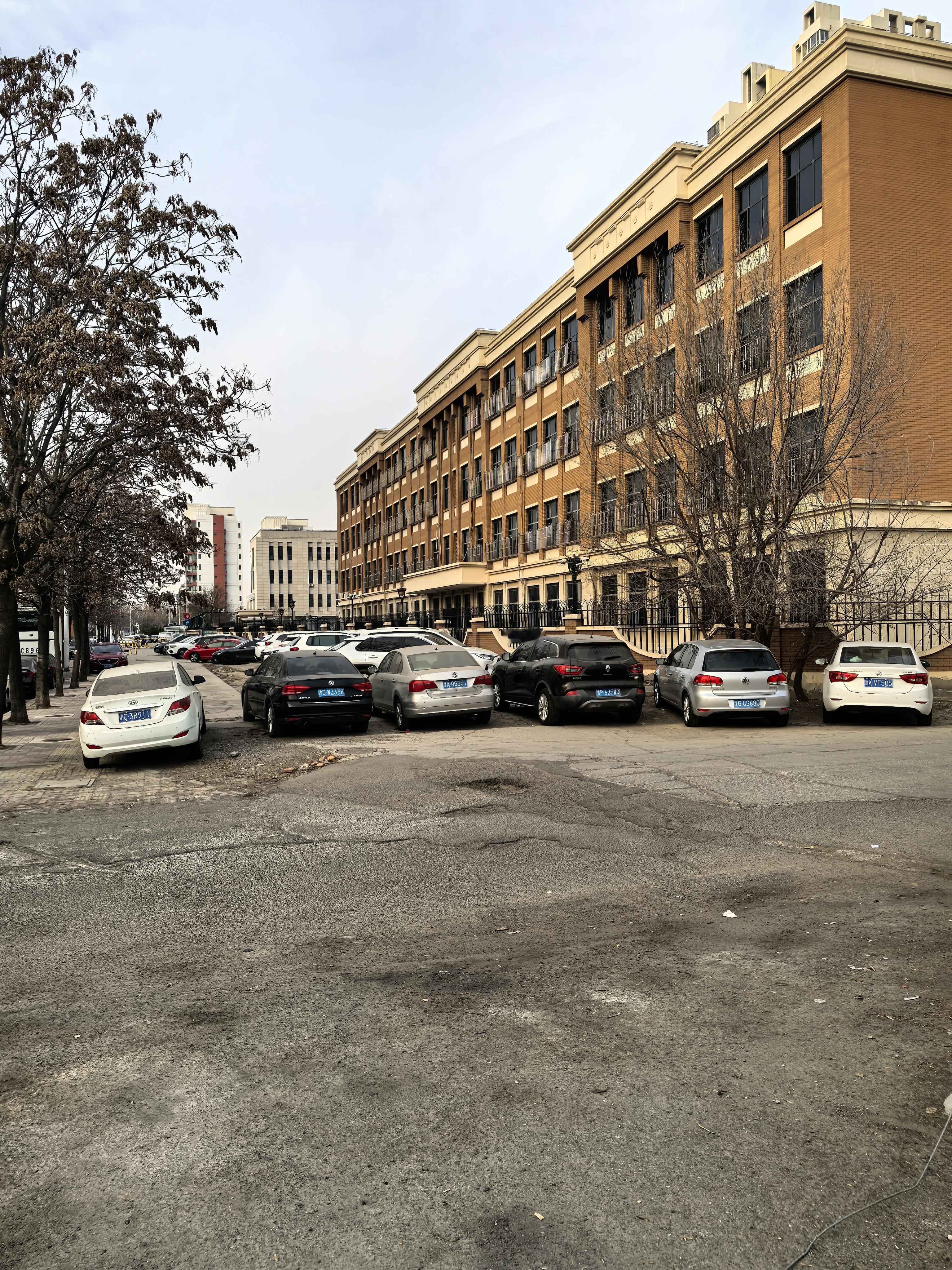 城市街景：停满汽车的街道与现代建筑