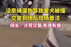 交警称没牵绳的狗一律按野狗处理！

近日，江苏。一市民遛狗未牵绳，导致爱犬被车辆撞亡。

交警赶到现场后当场普法：“如果牵了绳，车辆撞死小狗，肇事方需要赔偿小狗的损失；但未牵绳的狗，一律按‘野狗’处理。如果你坚持主张狗是你的，一旦车辆因此受损，你还需要赔偿对方修车费用。” 

对此，网友纷纷表示：点