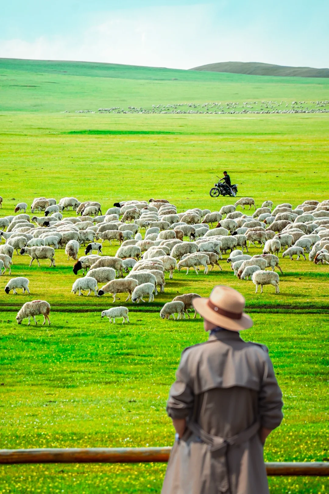 草原行吟：呼伦贝尔五日漫记🌈❤️
