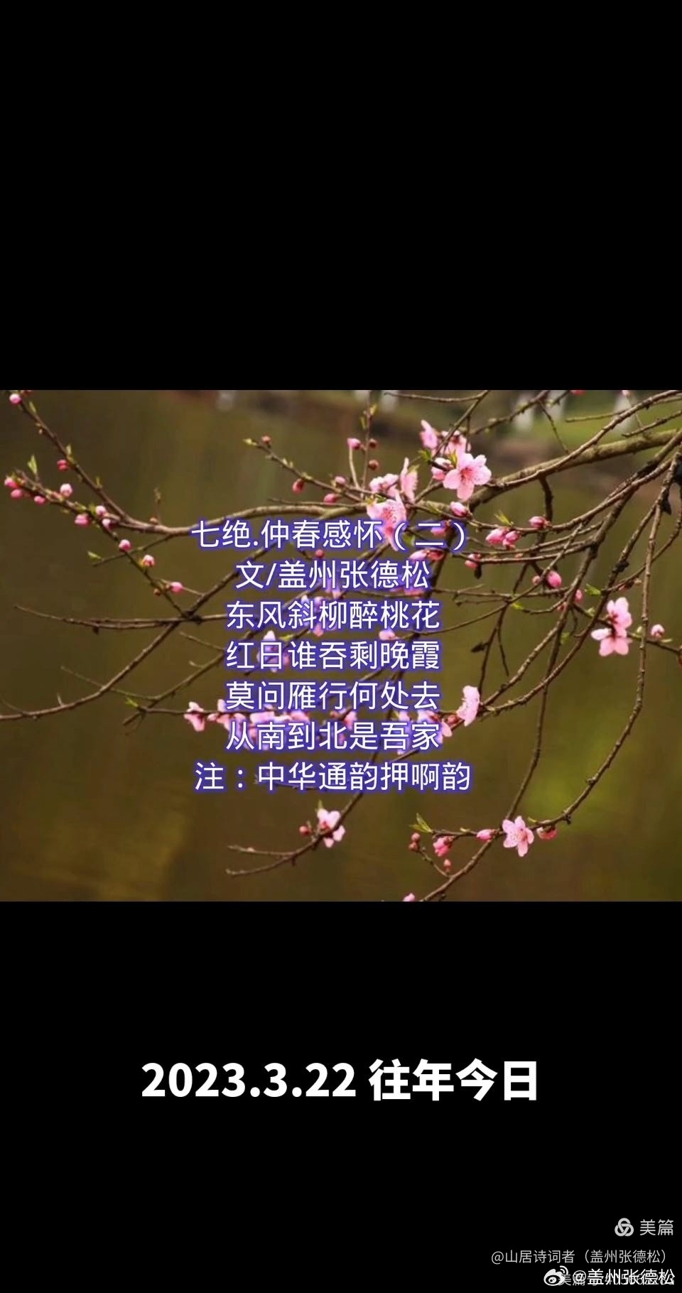为啥盖州张德松这首《七绝·仲春感怀（其一）》点击量高？  《七绝·仲春...